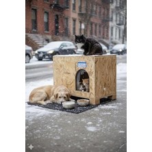 MarkEntegra Reyo Kedi Evi Dış Ortam Uygun Ahşap Kedi Evi Osb 61X41X36 cm - CAT48