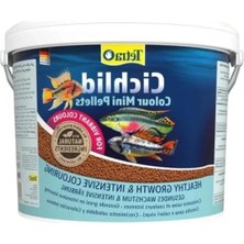 MarkEntegra 10 Litre Cichlid Color Mini Yem ile Akvaryum Desteği