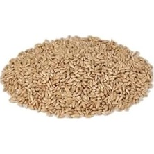 MarkEntegra 1 kg Vivid Aspur Sade Kanarya Yemi ile Enerjik Beslenme