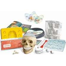 MarkEntegra Eğlenceli Oyun Seti - Çılgın Anatomi Bilim Oyuncağı