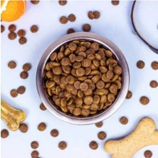 MarkEntegra Tavuklu Yetişkin Kedi Maması, 3 kg Paketinde