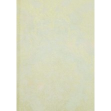 Maxwall Quantum Duvar Kağıdı 2-004 (10M2)