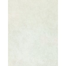 Maxwall Quantum Duvar Kağıdı 6-004 (10M2)