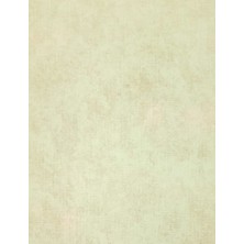 Maxwall Quantum Duvar Kağıdı 6-009 (10M2)