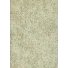 Maxwall Quantum Duvar Kağıdı 6-006 (10M2)