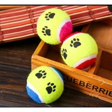 Savarga At Getir Köpek Eğitim Topu