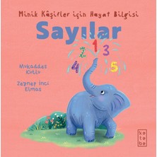 Ketebe Çocuk Minik Kâşifler Için Hayat Bilgisi - Sayılar
