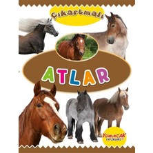 Yumurcak Yayınları Çıkartmalı Atlar