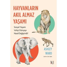Irene Hayvanların Akıl Almaz Yaşamı