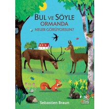 İthaki Çocuk Yayınları Bul ve Söyle - Ormanda Neler Görüyorsun?