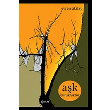 Demos Yayınları Aşk Burukluktur