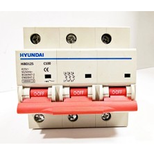 Hyundai 3p 100 Amper C Eğrisi 10 Ka Otomatik Sigorta