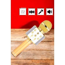 Shekip Jewellery Şarjlı ve Uzun Pil Ömürlü Karaoke Mikrofon USB Bellek Destekli, Profesyonel Ses