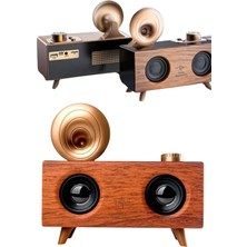 Shekip Jewellery Gramafon Radyo Bluetooth Hoparlör Nostaljik Radyo Fm Radyo