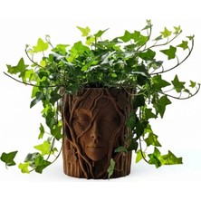 Shekip Jewellery Ağaç Vazo