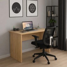 258 MoLife Çalışma Masası & Bilgisayar Masası Çam