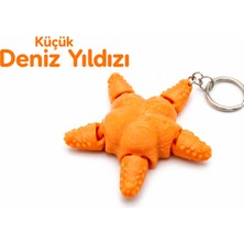 Yapı3D 🐢 2’li Set Hareketli Tasarım Aksesuar – Sert Plastik – Eğlenceli ve Esnek Yapı