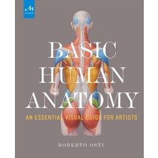 Basic Human Anatomy