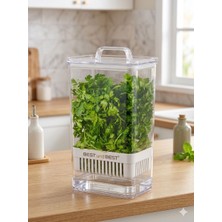 Kasımoğulları Concept 2,9 Litre Süzgeçli Yeşillik Saklama Kabı - Taze Tutucu Mutfak Düzenleyici