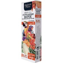 Ege Yeli Mürekkep Balığı Kemiği Large