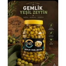 Antioch Farm Antioch Fatm El Yapımı Gemlik Kırma Zeytin 5 kg