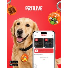 Patilive Qr Kodlu Evcil Hayvan Künyesi Holycado Kedi Köpek Isimliği