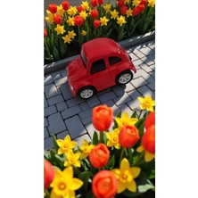 Famemus Accessory Metal Çek Bırak Vosvos Boyut: 7cm
