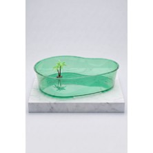 Beak's Kaplumbağa Bahçesi Büyük Boy Yeşil