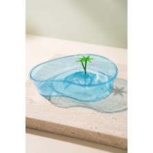 Beak's Kaplumbağa Bahçesi Küçük Boy Mavi