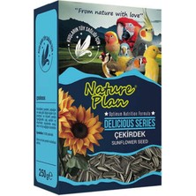 Sepetopia Delicious Serisi Çekirdek 250 gr