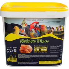 isiltikidsmoda Ballı Yumurtalı Nemli Kuş Maması 5 kg