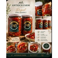 Antioch Farm El Yapımı Atom Cevizli Kuru Domates 660 gr