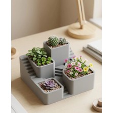 Sora Home 3D Baskı Sukulent ve Kaktüs Saksı Seti Çok Katlı Tasarım Şık Ev Ofis Dekoru