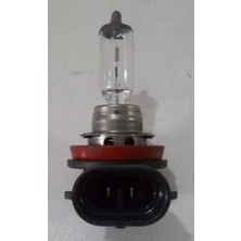 Universal 12V H8 35W PGJ19-1  Halojen Ampul