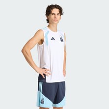 Adidas Performance JY7037 Arjantin 26 Tiro Kolsuz Forma