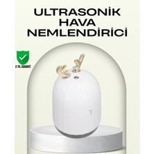 TKÇ Abs+Pp Malzemeli Taşınabilir 220 ML USB Mist Nemlendirici