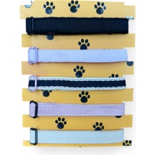 ePhase 5'li Set Zilli Kedi Boyun Tasması