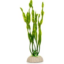 Petistera Yapay Akvaryum Bitkisi 20 cm PB08