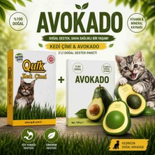 Trakyamamapetshop Quik Doğal  Kedi Çimi ve Avokado Catnip Kedi Nanesi  2si 1 Arada