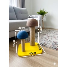 Kedi Tırmalama Mantarı