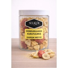 Selkur Dondurularak Kurutulmuş Karışık Meyve 50GR(KAVANOZDA)
