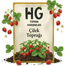 Hg Çilek Toprağı Özel Karışım
