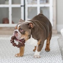 Hakay Agresif Çiğneme Için 3 Farklı Şekilde Köpek Oyuncakları