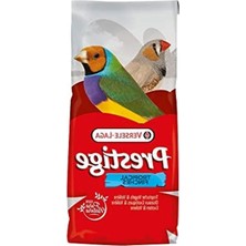 Hakay Tropikal Kuş Yemi, 20 Kg, Besleyici Karışım