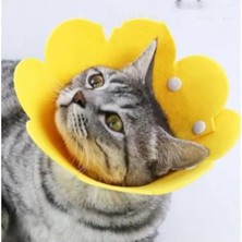 Hakay Evcil Hayvanlar Için M Boy Keçe Yakalık, Konforlu Kullanım