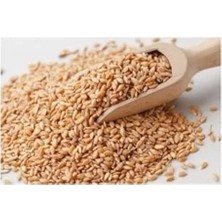 Hakay 5 kg Kuş Yemi ile Kanatlı Tavuklar Için Beslenme