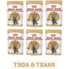 Hakay Royal Canin British Shorthair Adult Yetişkin Yaş Kedi Maması 85 gr x 6 Adet