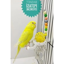 Hakay Muhabbet Kuşu Basket Oyuncakları, Gaga Taşı Hediye ile