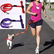 Hakay Ayarlanabilir Kayışlı Mor Renkli Kedi ve Köpek Gezdirme Tasma