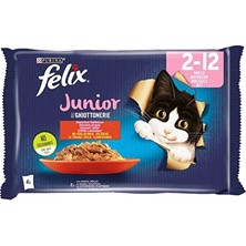 Felix Pouch Yavru Kedi 4X85G